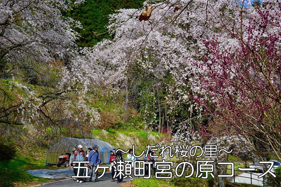 高千穂郷フットパスコース
