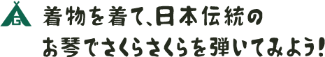 着物を着て、日本伝統のお琴でさくらさくらを弾いて見よう！